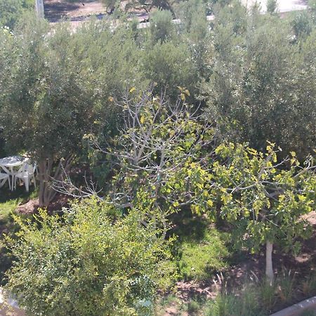 Les Jardins Fleuris Acomodação com café da manhã Essaouira Exterior foto
