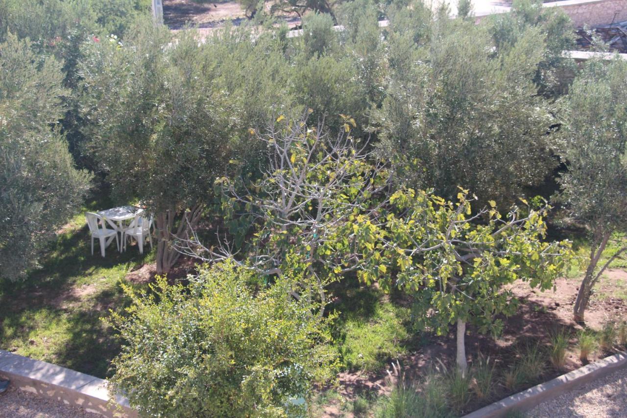 Les Jardins Fleuris Acomodação com café da manhã Essaouira Exterior foto